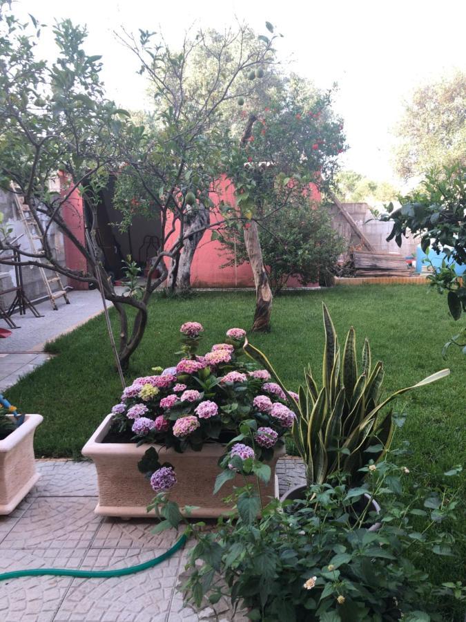 Paese Museo Appartement San Sperate Buitenkant foto